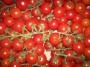 Tomate cerise grappe 500 grs